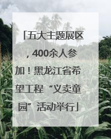 五大主题展区，400余人参加！黑龙江省希望工程“义卖童园”活动举行