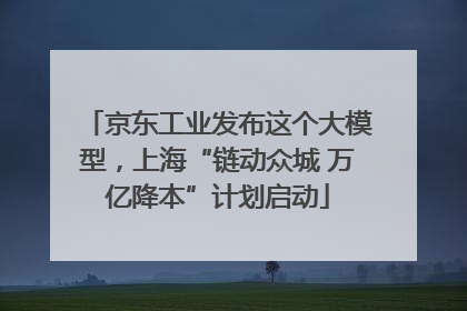 京东工业发布这个大模型，上海“链动众城 万亿降本”计划启动