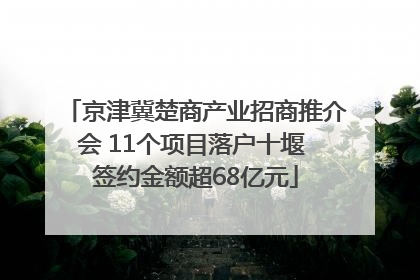 京津冀楚商产业招商推介会 11个项目落户十堰 签约金额超68亿元