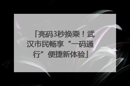 亮码3秒换乘！武汉市民畅享“一码通行”便捷新体验