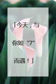 今天，与你如“7”而遇！