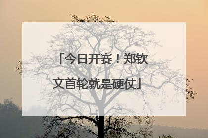 今日开赛！郑钦文首轮就是硬仗