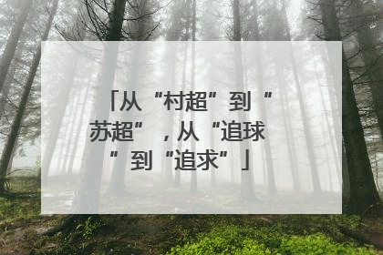 从“村超”到“苏超”，从“追球”到“追求”