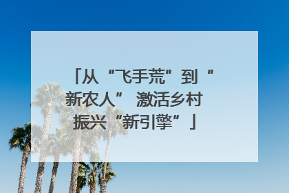 从“飞手荒”到“新农人” 激活乡村振兴“新引擎”