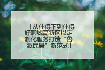 从住得下到住得好聊城高新区以定制化服务打造“鲁派民居”新范式