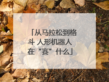 从马拉松到格斗 人形机器人在“赛”什么