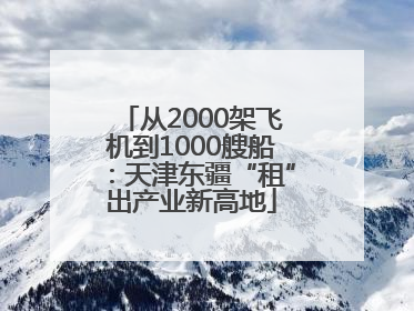 从2000架飞机到1000艘船：天津东疆“租”出产业新高地