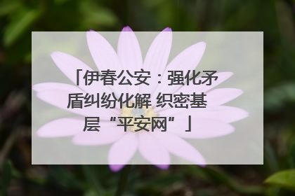 伊春公安：强化矛盾纠纷化解 织密基层“平安网”