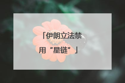 伊朗立法禁用“星链”
