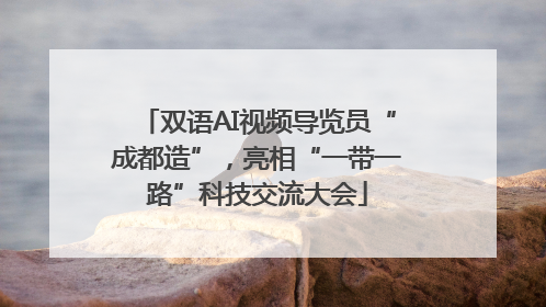 双语AI视频导览员“成都造”，亮相“一带一路”科技交流大会
