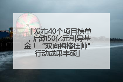 发布40个项目榜单，启动50亿元引导基金！“双向揭榜挂帅”行动成果丰硕