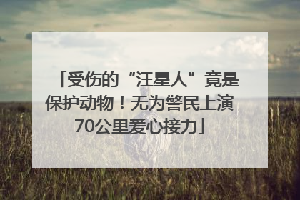 受伤的“汪星人”竟是保护动物！无为警民上演70公里爱心接力