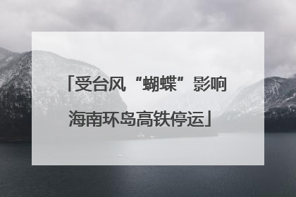 受台风“蝴蝶”影响 海南环岛高铁停运