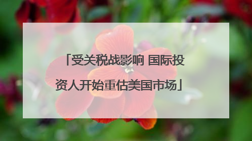 受关税战影响 国际投资人开始重估美国市场