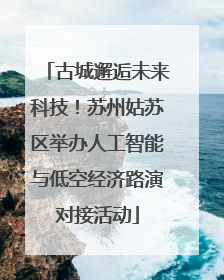 古城邂逅未来科技！苏州姑苏区举办人工智能与低空经济路演对接活动