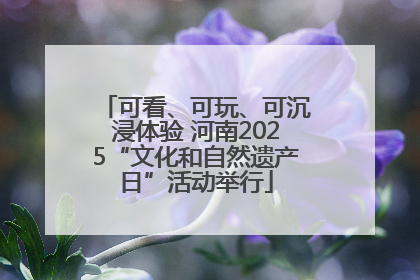 可看、可玩、可沉浸体验 河南2025“文化和自然遗产日”活动举行