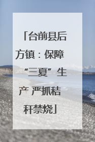 台前县后方镇：保障“三夏”生产 严抓秸秆禁烧