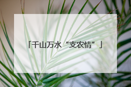 千山万水“支农情”