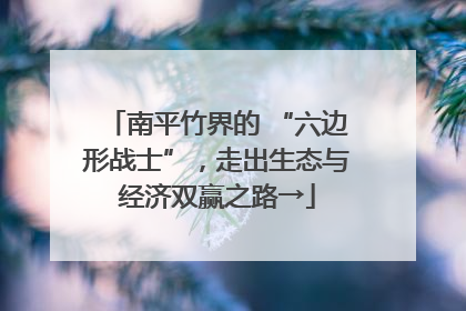 南平竹界的 “六边形战士”，走出生态与经济双赢之路→