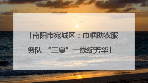 南阳市宛城区：巾帼助农服务队 “三夏”一线绽芳华