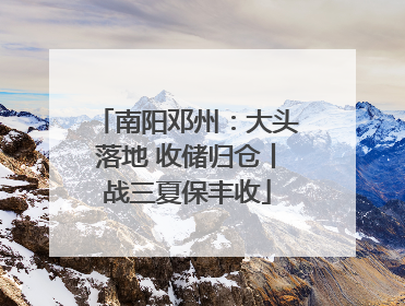 南阳邓州：大头落地 收储归仓丨战三夏保丰收