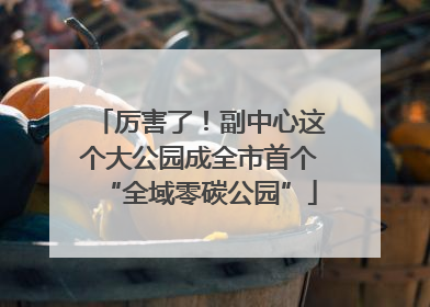 厉害了！副中心这个大公园成全市首个“全域零碳公园”