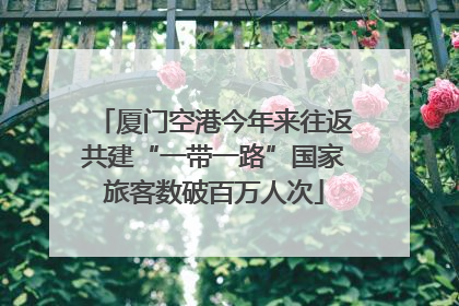 厦门空港今年来往返共建“一带一路”国家旅客数破百万人次