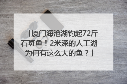 厦门海沧湖钓起72斤石斑鱼！2米深的人工湖为何有这么大的鱼？