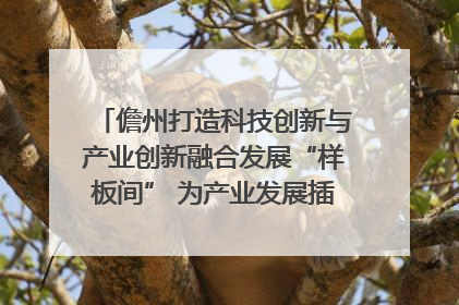 儋州打造科技创新与产业创新融合发展“样板间” 为产业发展插上科技“翅膀”