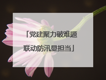党建聚力破难题 联动防汛显担当