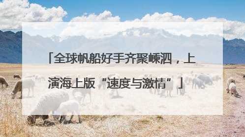 全球帆船好手齐聚嵊泗，上演海上版“速度与激情”