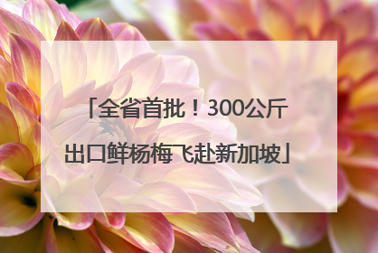 全省首批！300公斤出口鲜杨梅飞赴新加坡