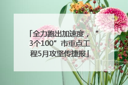全力跑出加速度，“3个100”市重点工程5月攻坚传捷报