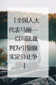 全国人大代表马丽——以司法裁判为引领做实定分止争