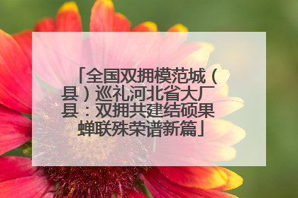 全国双拥模范城（县）巡礼河北省大厂县：双拥共建结硕果 蝉联殊荣谱新篇
