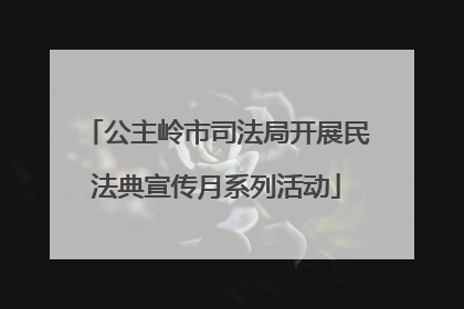 公主岭市司法局开展民法典宣传月系列活动