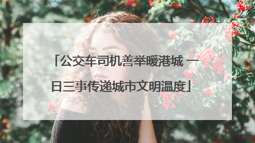 公交车司机善举暖港城 一日三事传递城市文明温度