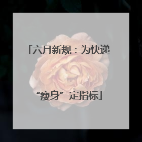 六月新规：为快递“瘦身”定指标
