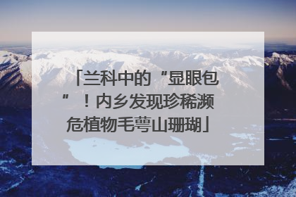 兰科中的“显眼包”！内乡发现珍稀濒危植物毛萼山珊瑚