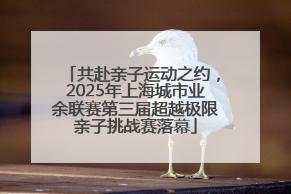 共赴亲子运动之约，2025年上海城市业余联赛第三届超越极限亲子挑战赛落幕