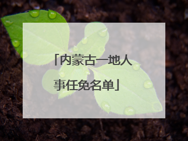 内蒙古一地人事任免名单