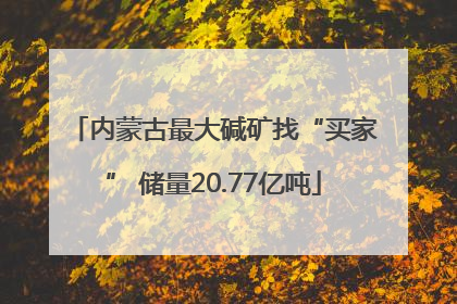 内蒙古最大碱矿找“买家” 储量20.77亿吨