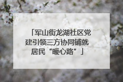 军山街龙湖社区党建引领三方协同铺就居民“暖心路”