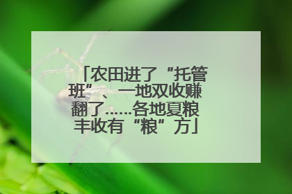 农田进了“托管班”、一地双收赚翻了……各地夏粮丰收有“粮”方