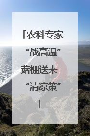 农科专家“战高温” 菇棚送来“清凉策”