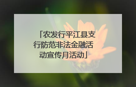 农发行平江县支行防范非法金融活动宣传月活动
