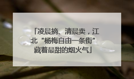 凌晨摘、清晨卖，江北“杨梅自由一条街”藏着最甜的烟火气