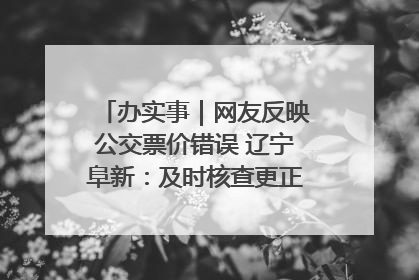 办实事｜网友反映公交票价错误 辽宁阜新：及时核查更正 加强实时巡检