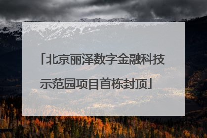 北京丽泽数字金融科技示范园项目首栋封顶