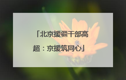 北京援疆干部高超：京援筑同心